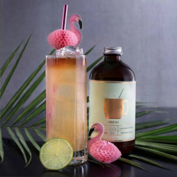 Dark & Stormy – Upside Drinks