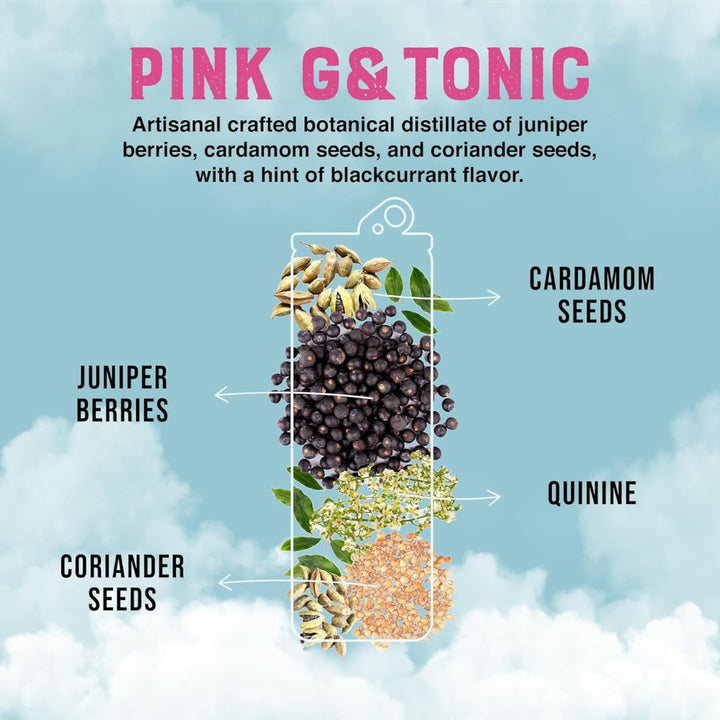 Clever Mocktail - Gin Tonic Rose