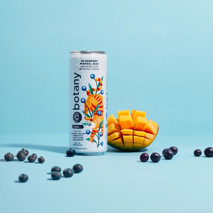 Collective Arts - Botany Adaptogenic Elixir - Blueberry, Mango, Acai