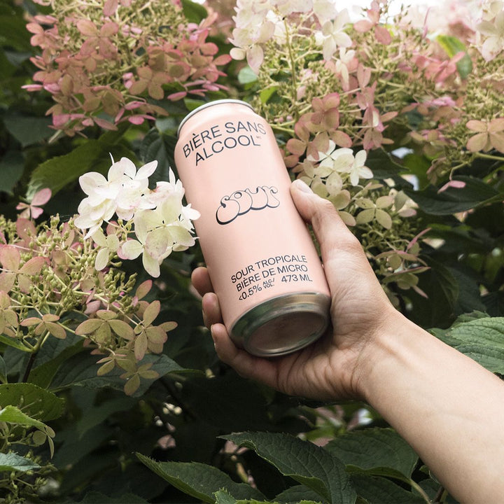 BSA - Sûre Tropicale