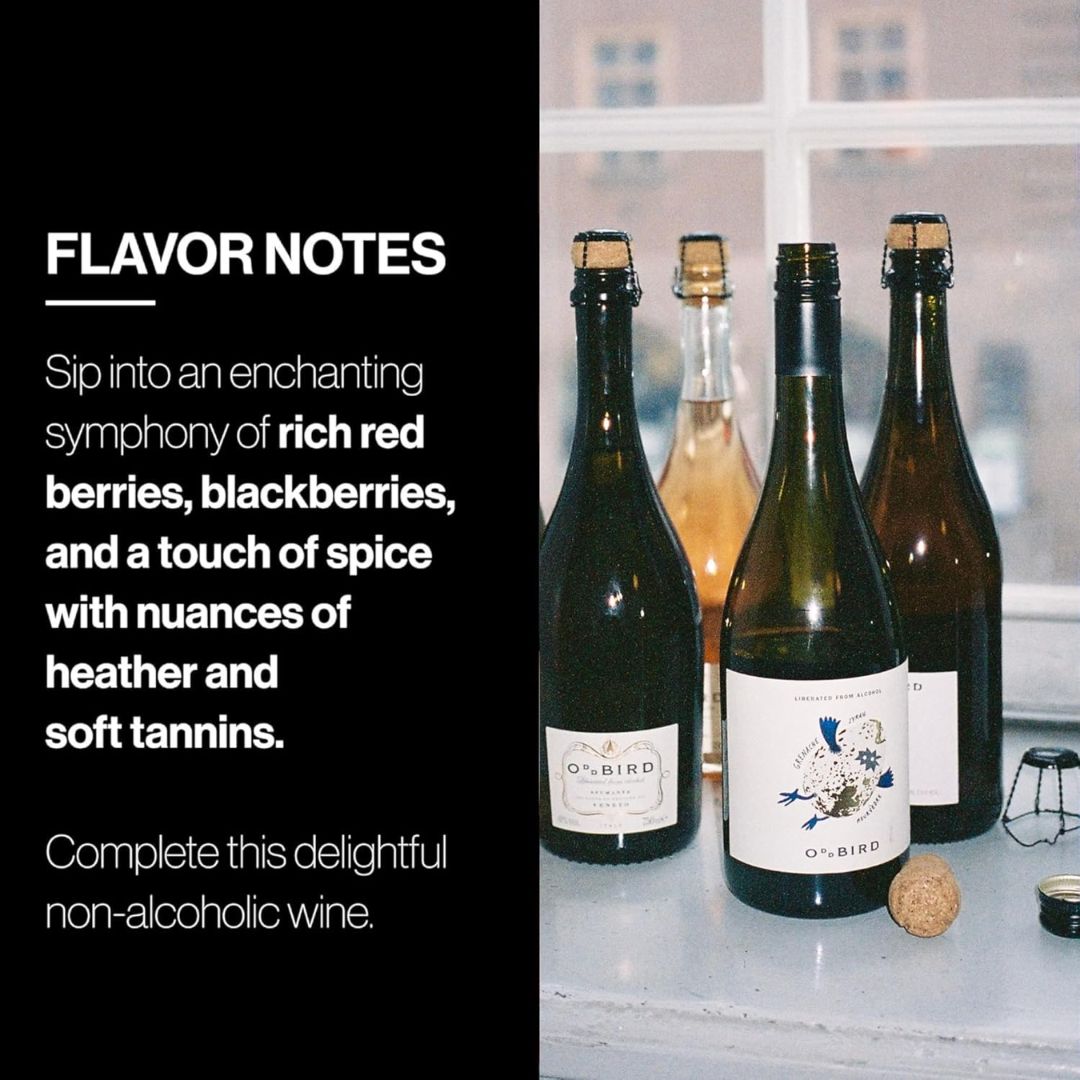 Odd Bird - Grenache/Syrah Mourvèdre - Rouge Bio