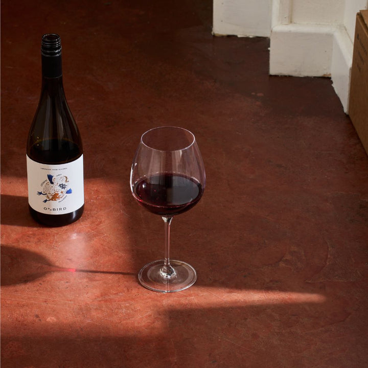 Odd Bird - Grenache/Syrah Mourvèdre - Rouge Bio