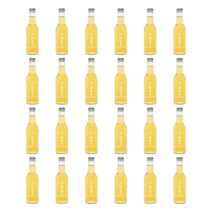 TÖST - Sparkling Ginger (250mL)