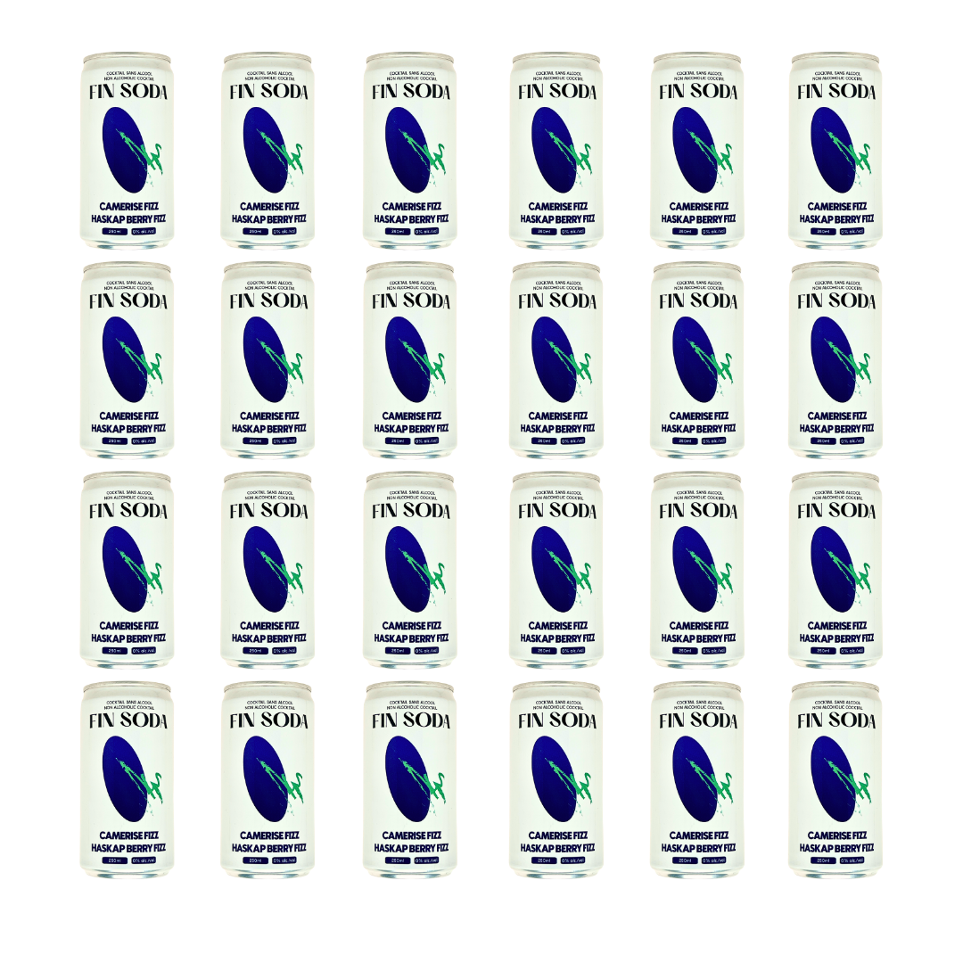 Fin Soda - Haskap Berry Fizz