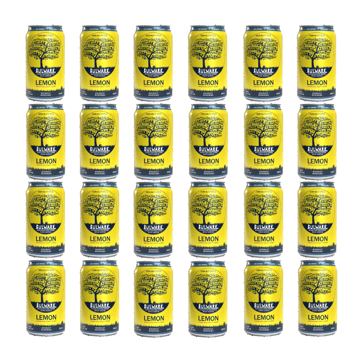 Bulwark - Citron Gingembre - Cidre Artisanal