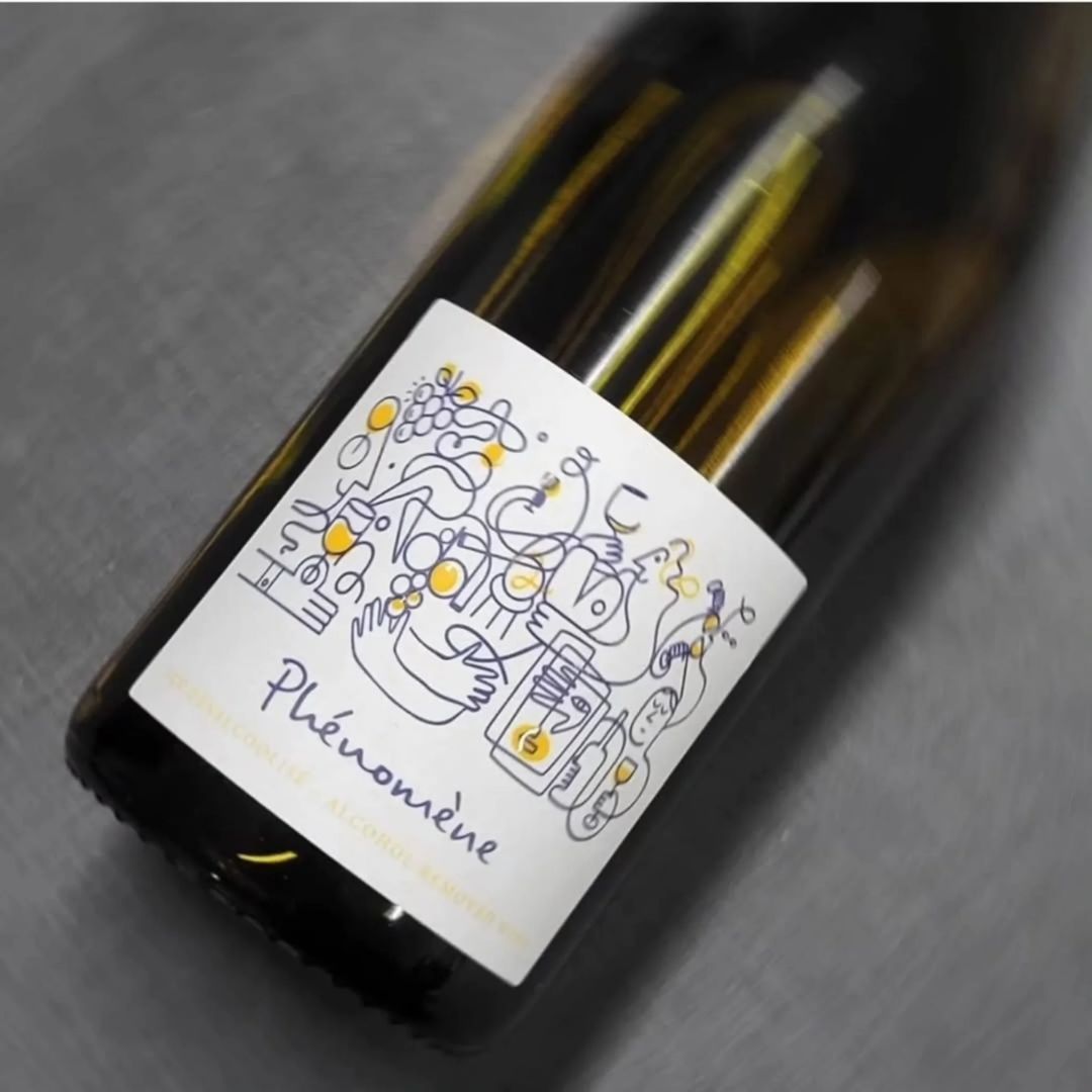 Phénomène - Melon de Bourgogne