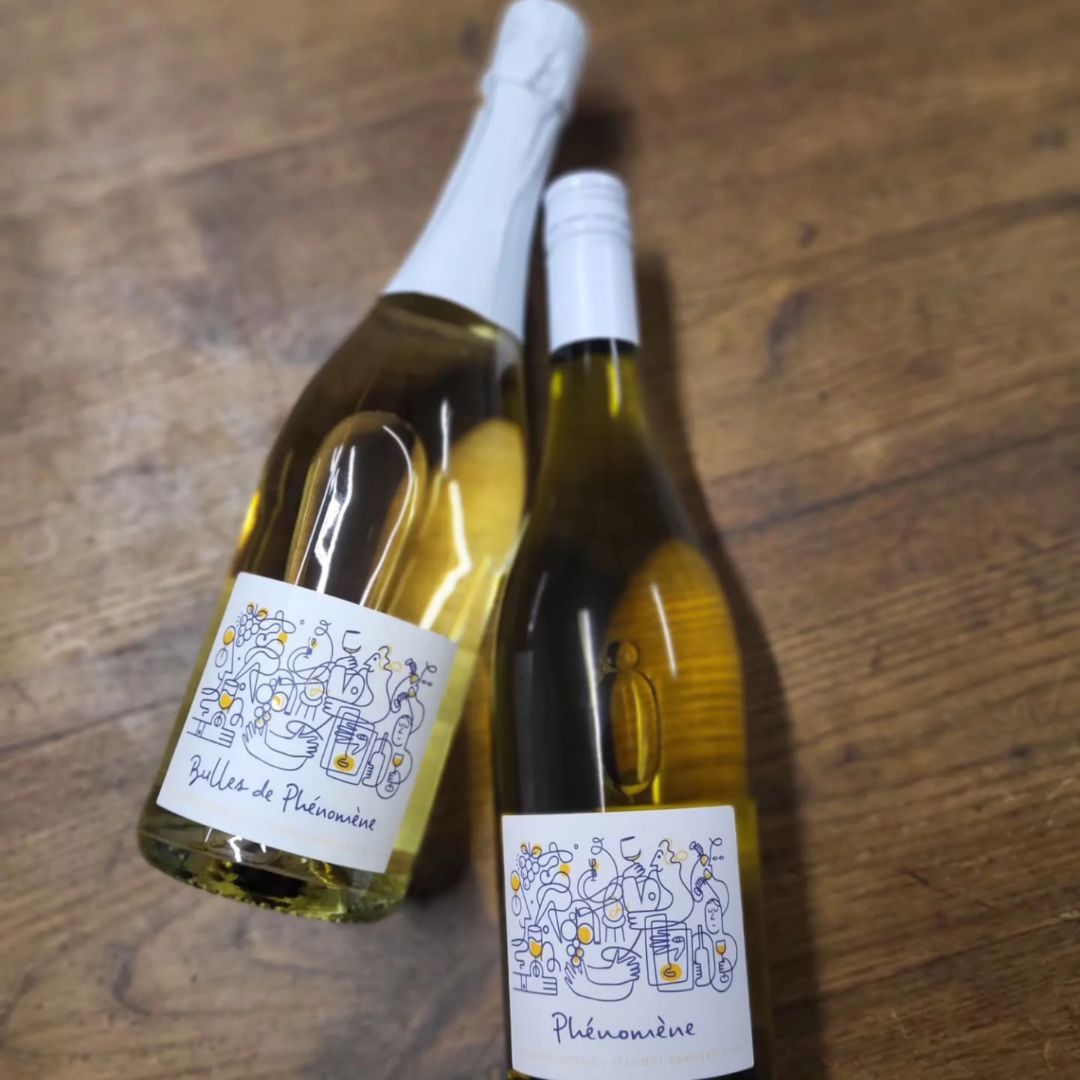 Phénomène - Melon de Bourgogne