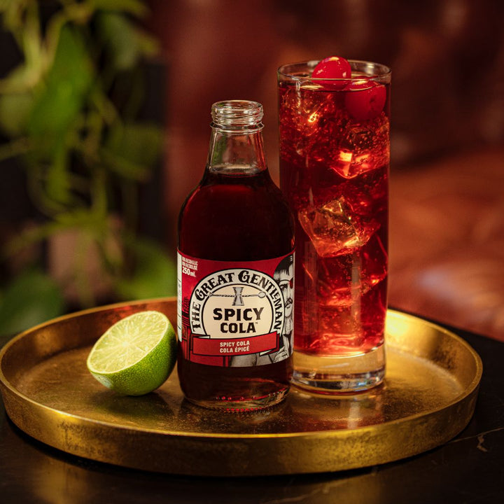 The Great Gentleman - Cola Épicé (Pack de 6 Bouteilles)