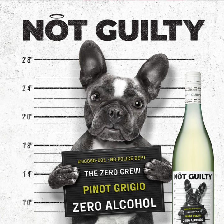 Not Guilty - Pinot Grigio