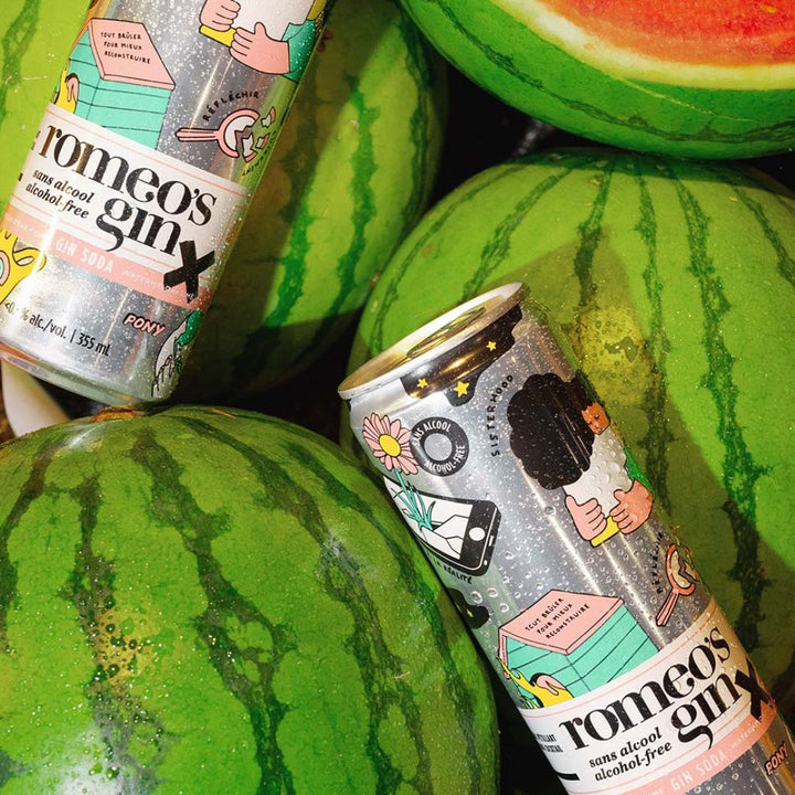 Romeo's Gin - Watermelon + Lime - Gin & Soda