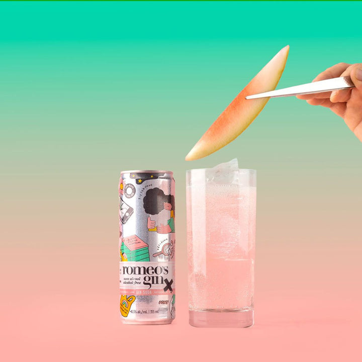 Romeo's Gin - Watermelon + Lime - Gin & Soda