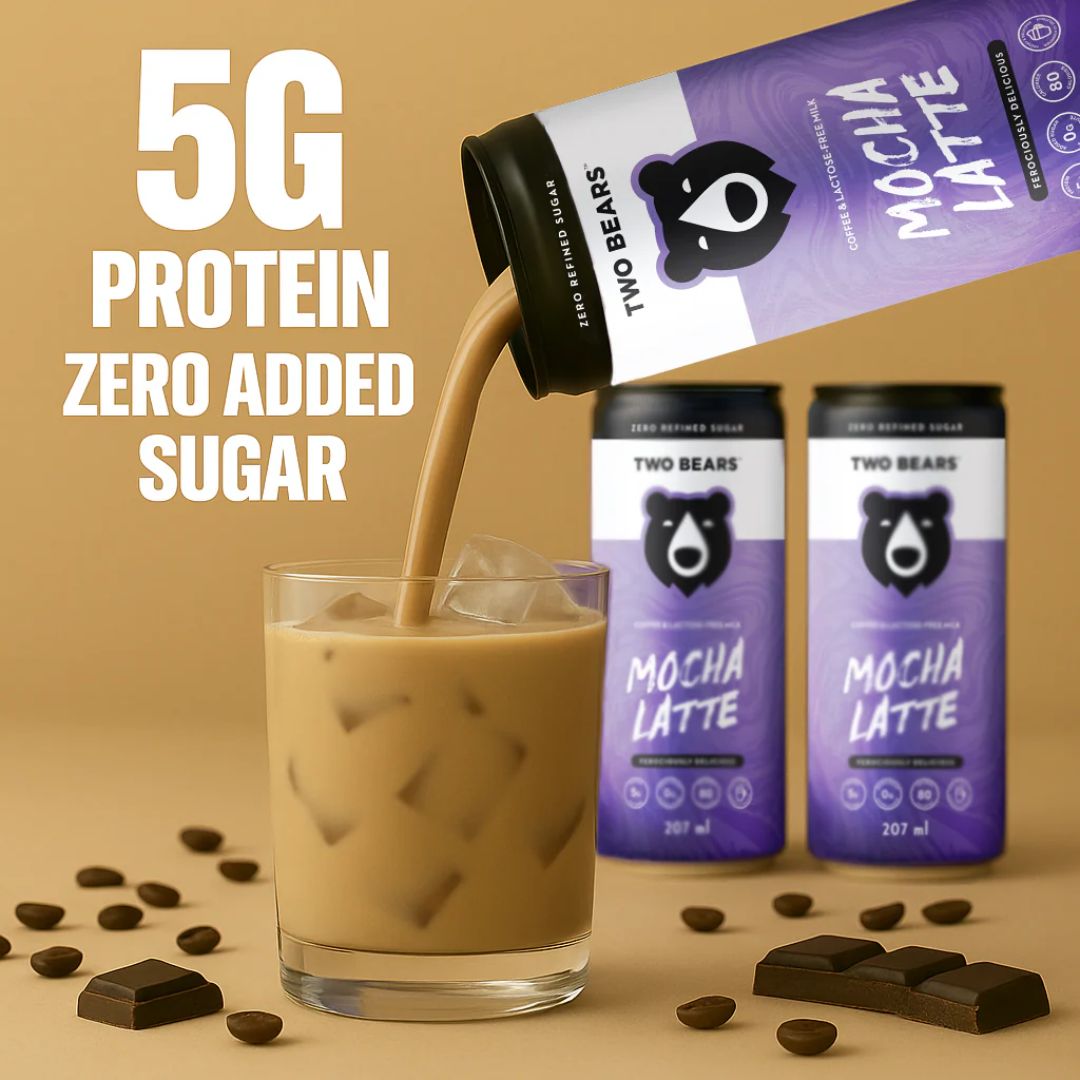 Two Bears Natural Lactose-Free Mocha Dairy Latte - Upside Drinks