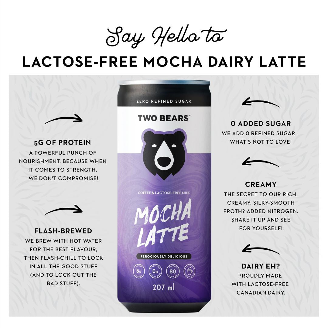 Two Bears Natural Lactose-Free Mocha Dairy Latte - Upside Drinks