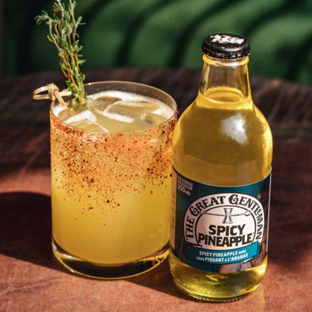 The Great Gentleman - Spicy Pineapple Soda (6 Pack Bottle)