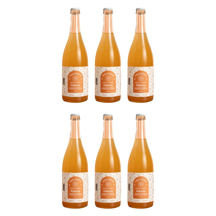 Casa Piñata - Paloma (Bouteille de 750 mL)