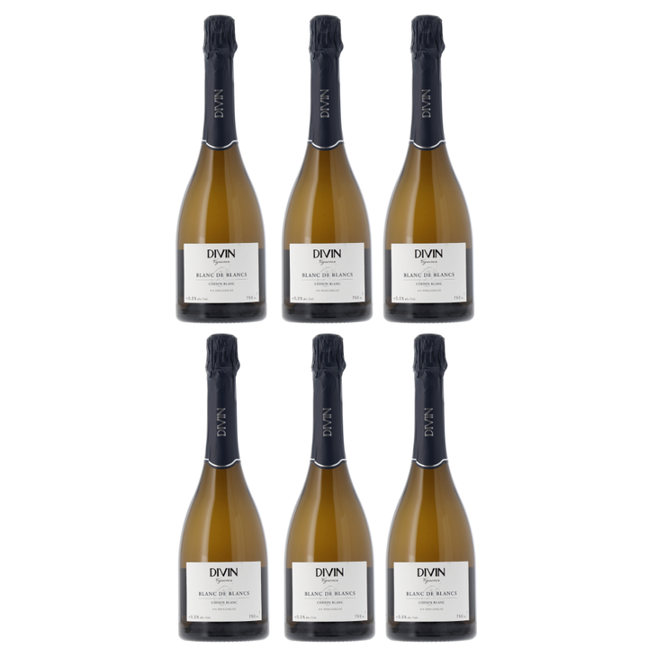 DIVIN - Vigneron - Sparkling Chenin Blanc, non-alcoholic wine, photo 2 of 6