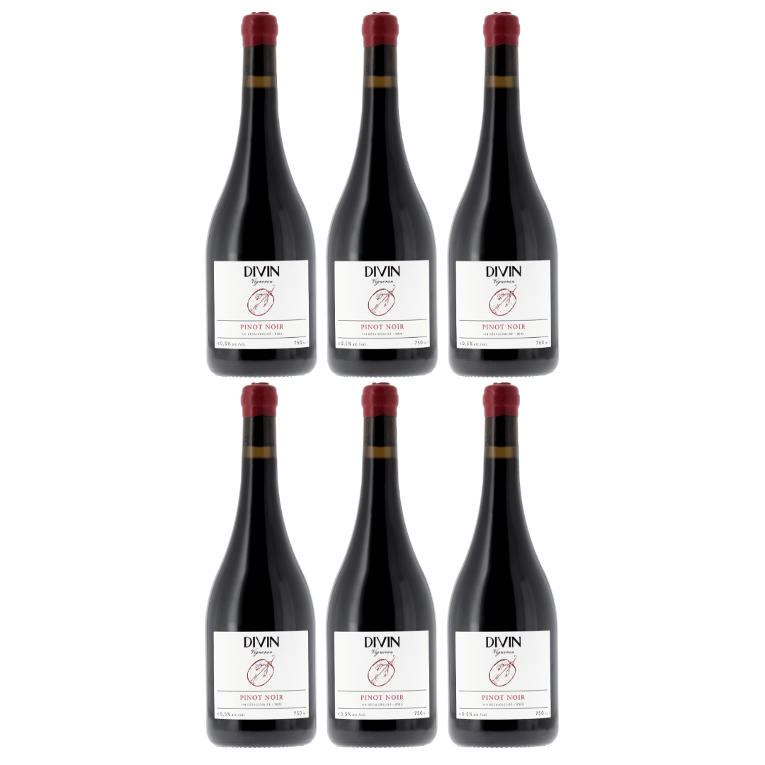 DIVIN - Vigneron - Pinot Noir, non-alcoholic wine, photo 2 of 6