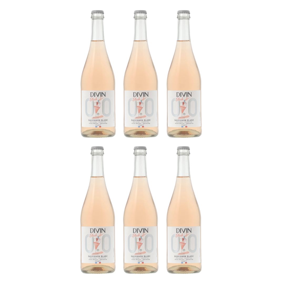 DIVIN 0.0 - Sparkling Blush - Sauvignon Blanc, non-alcoholic wine, photo 2 of 6