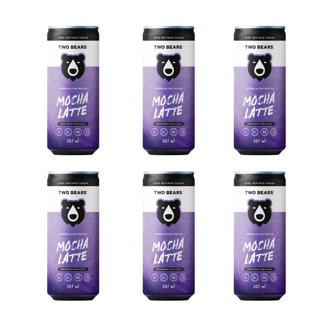 Coffee | Two Bears Lactose-Free Mocha Dairy Latte – Upside Drinks