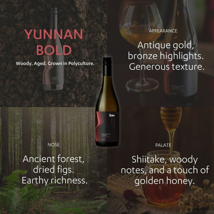 Lao - Yunnan Bold - Thé