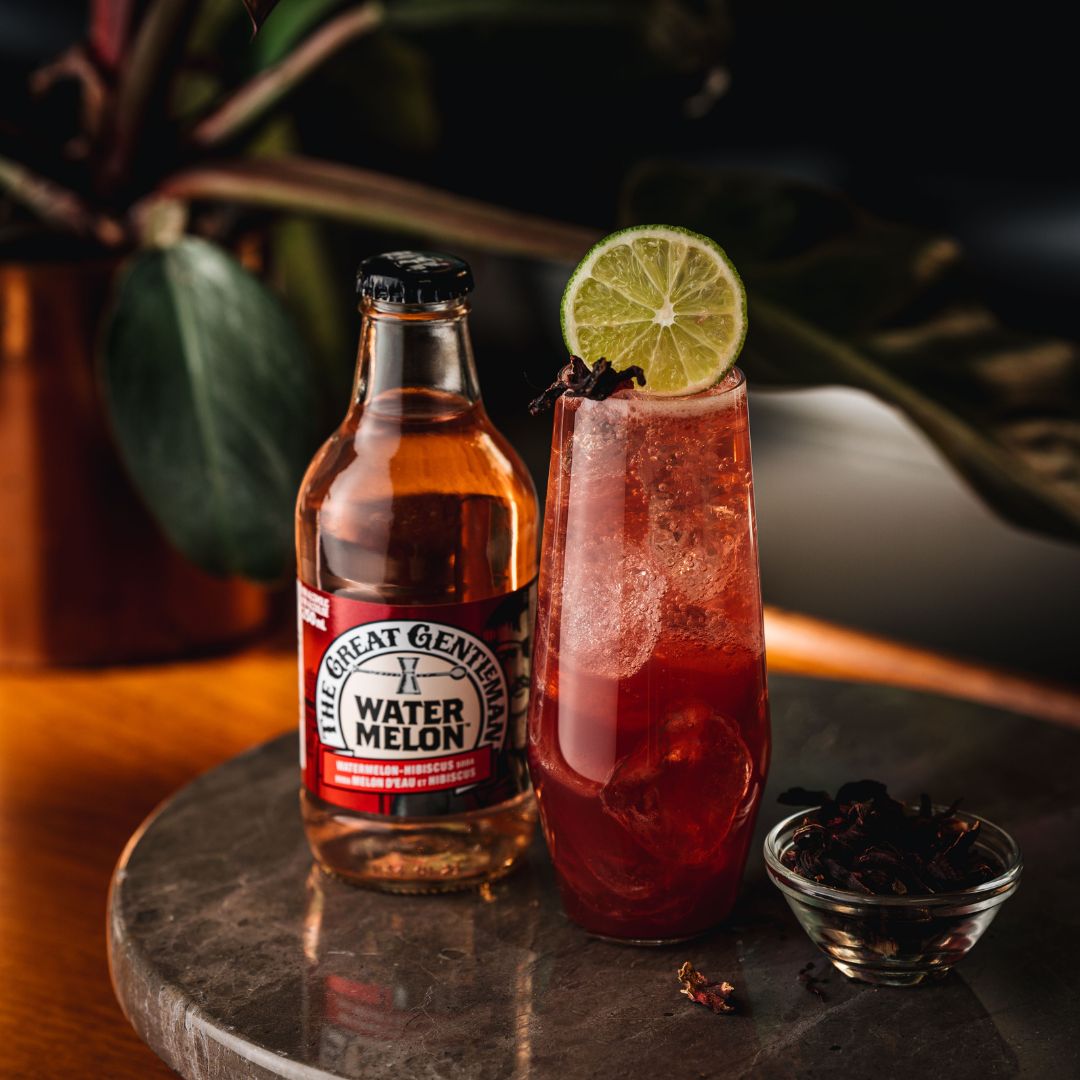 The Great Gentleman - Soda Melon d'eau et Hibiscus (Paquet de 6)