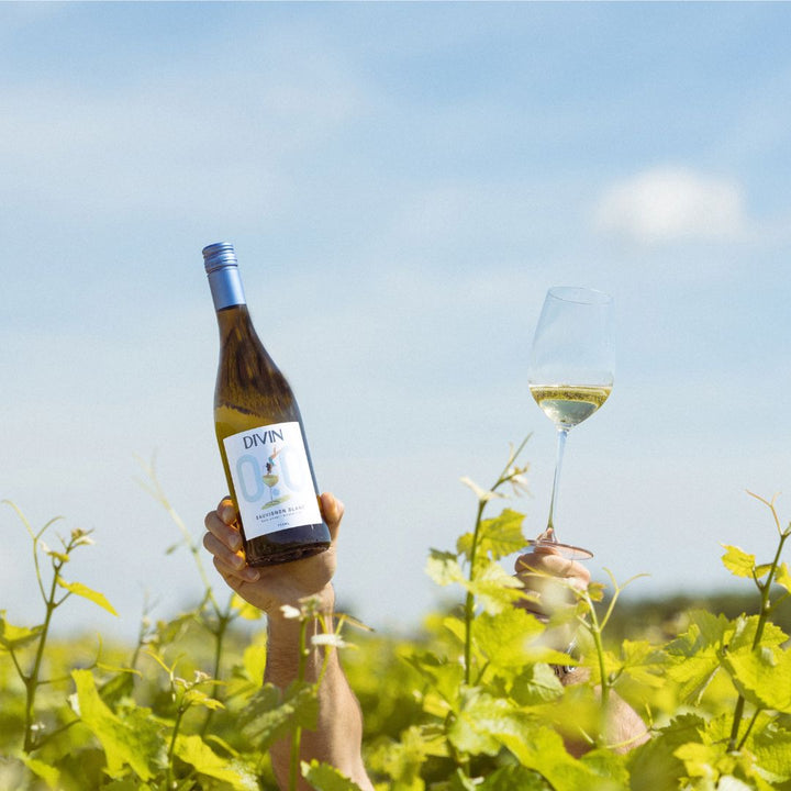 DIVIN 0.0 - Sauvignon Blanc, non-alcoholic wine, photo 4 of 7