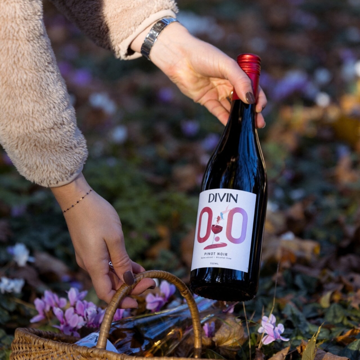 DIVIN 0.0 - Pinot Noir, non-alcoholic wine, photo 4 of 6