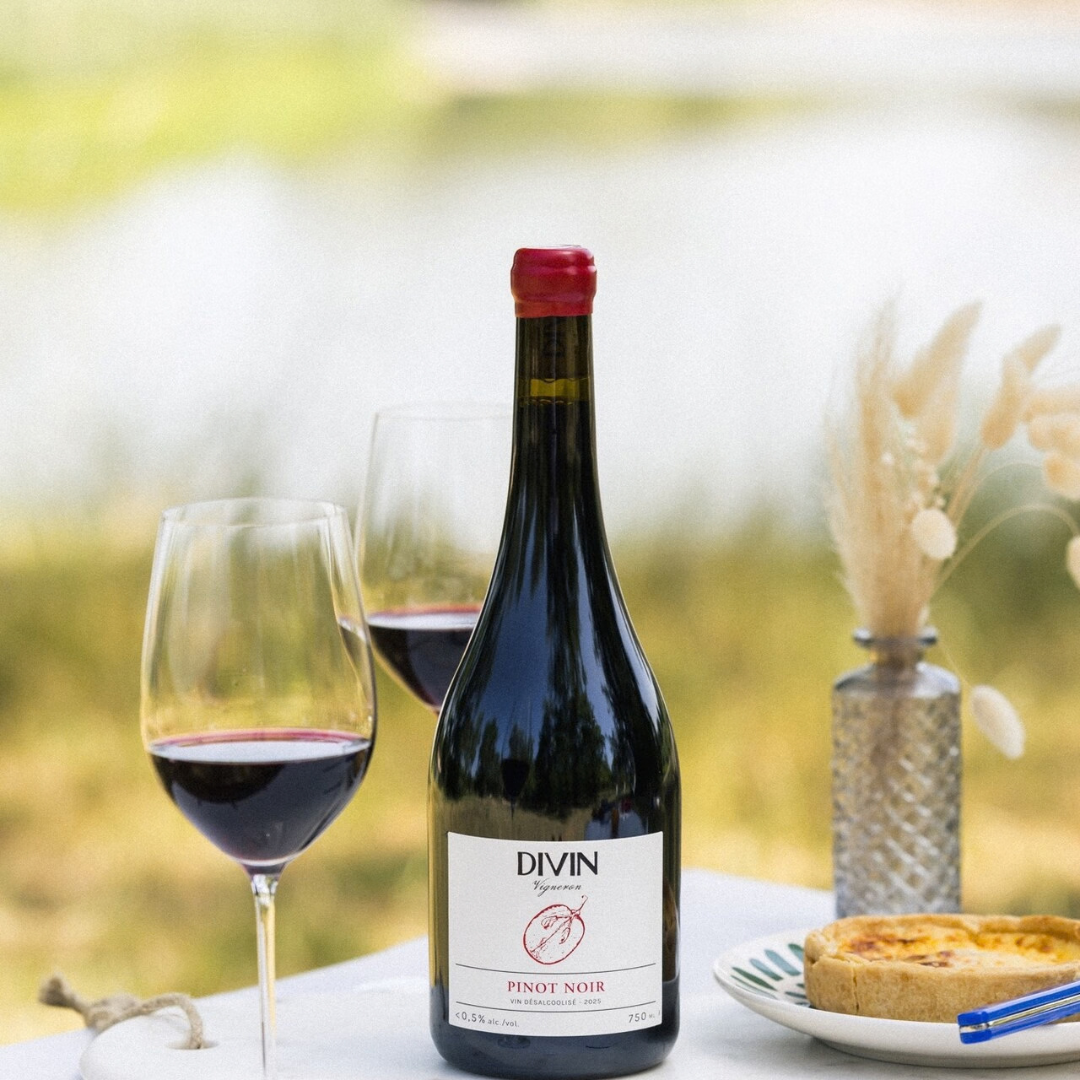 DIVIN - Vigneron - Pinot Noir, non-alcoholic wine, photo 5 of 6