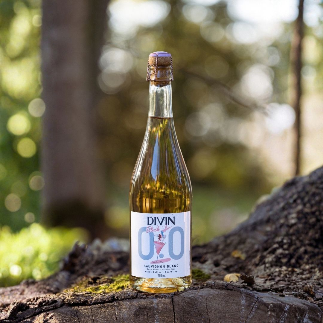 DIVIN 0.0 - Sparkling Blush - Sauvignon Blanc, non-alcoholic wine, photo 5 of 6
