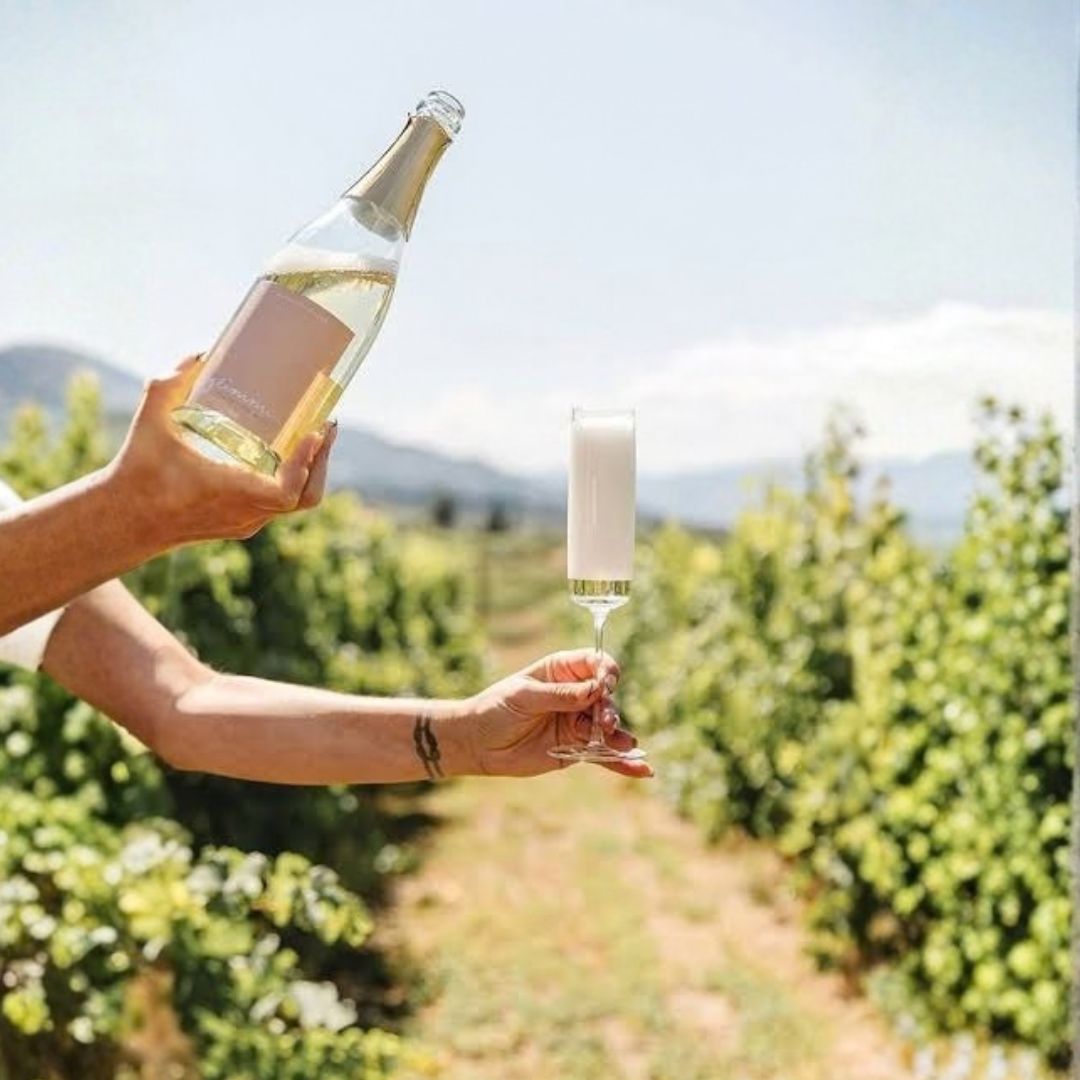 Glimmer - Sparkling Blanc de Blanc, non-alcoholic wine, photo 4 of 4