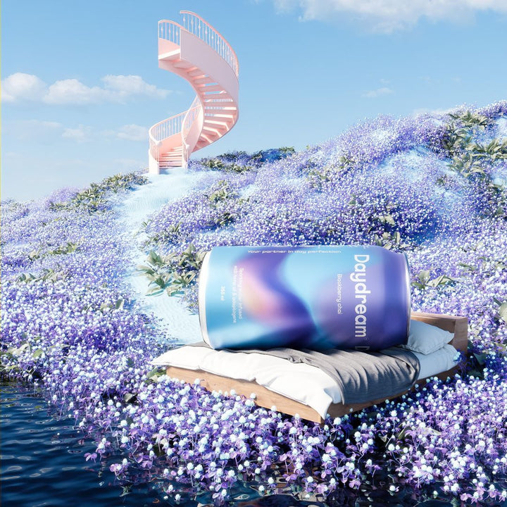 Daydream  - Blackberry Chai Hemp and Adaptogen Infused Sparkling Water