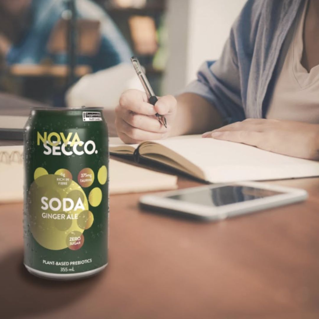 Novasecco - Soda Prébiotique Ginger Ale