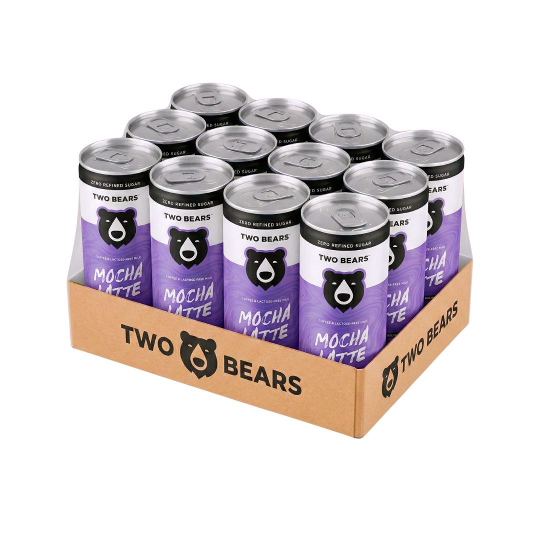 Two Bears Natural Lactose-Free Mocha Dairy Latte - Upside Drinks