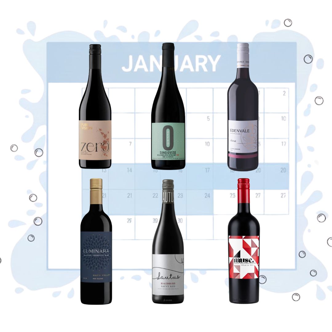 Dry January - Premium Red Wine Selection Bundle